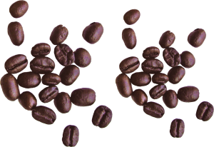 Coffee beans PNG image-9272